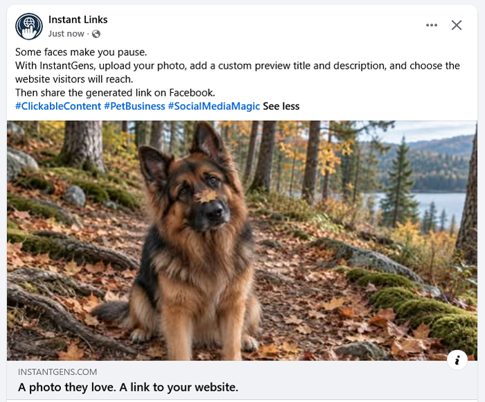 Facebook link preview featuring a German Shepherd in an autumn forest and the headline A photo they love. A link to your website.