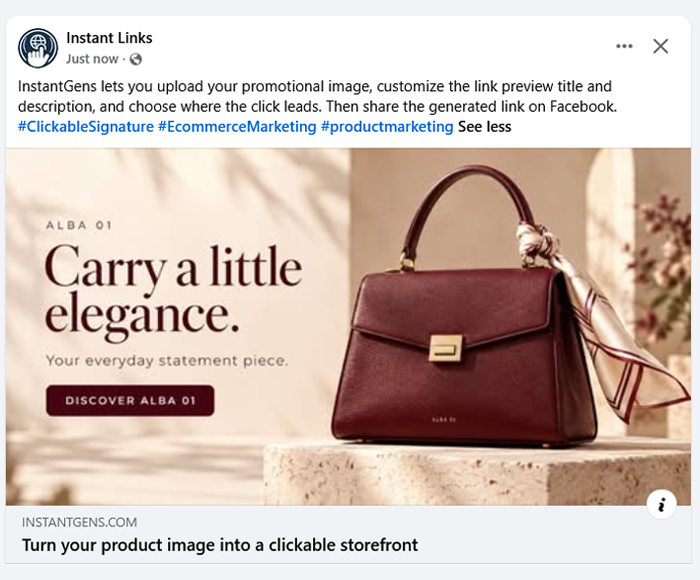 Facebook link preview featuring a burgundy handbag and the message Carry a little elegance.